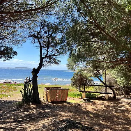 Βίλα La Chiappa Bord De Avec Piscine Chauffee Et Jacuzzi Πόρτο Βέκιο